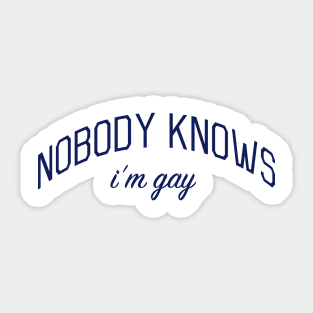 Nobody Knows I'm Gay - Closeted or Passing Shirt Sticker